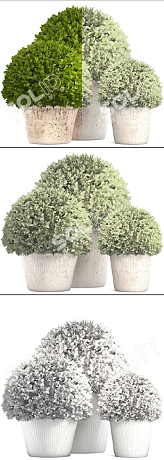 Botanical Bliss: Topiary Collection 3D model image 3