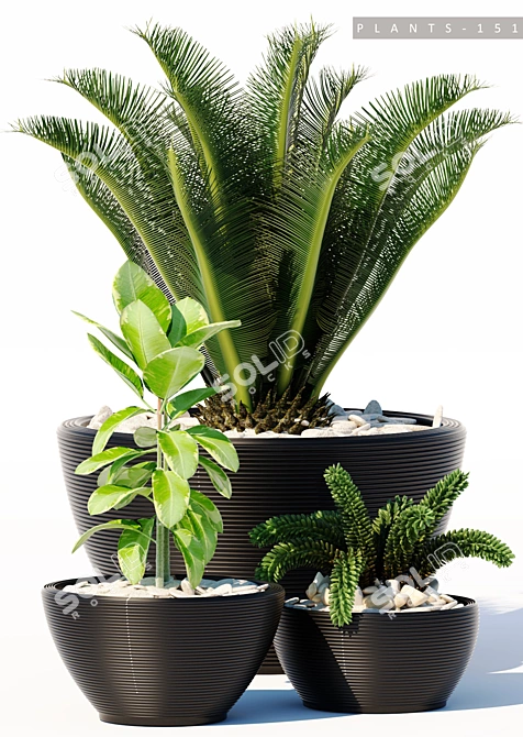 Lush Greens Collection: PLANTS 151 3D model image 2