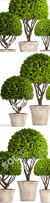 Spectacular Topiary Collection: 126 Varieties 3D model image 2