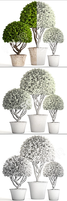 Spectacular Topiary Collection: 126 Varieties 3D model image 3