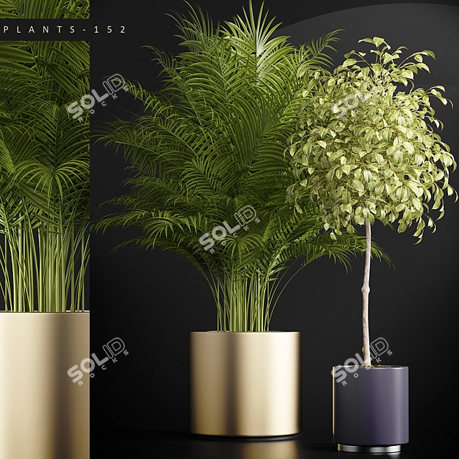 152 Plant Collection 3D model image 1