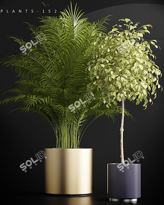 152 Plant Collection 3D model image 2