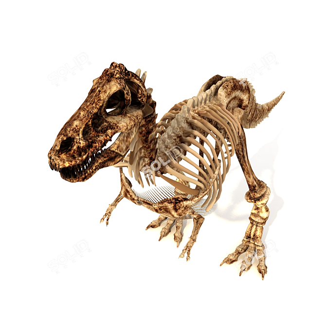 Trex Skeleton Replica 3D model image 2