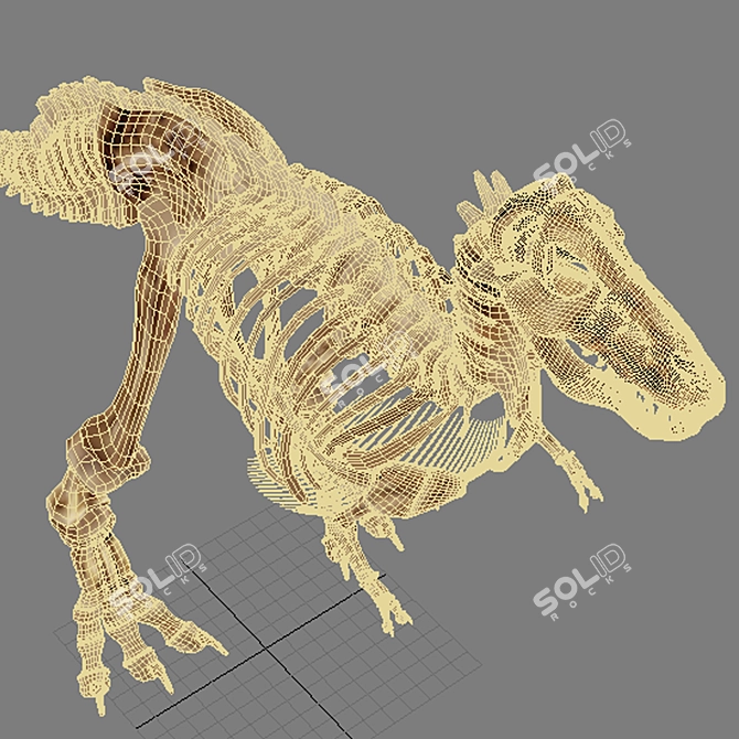 Trex Skeleton Replica 3D model image 3