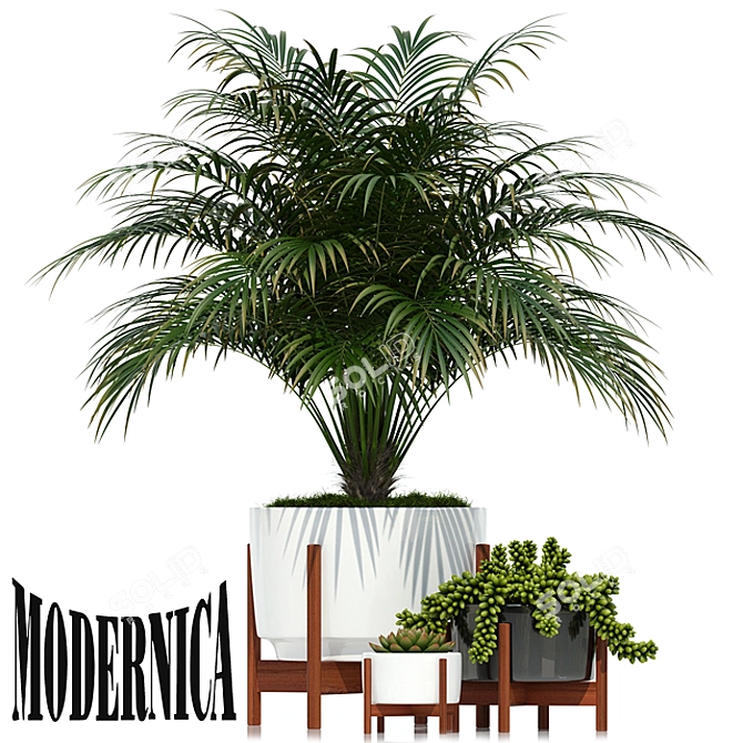 Modernica Pots - Plants Collection 68 3D model image 1