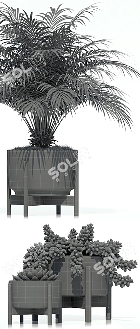 Modernica Pots - Plants Collection 68 3D model image 3