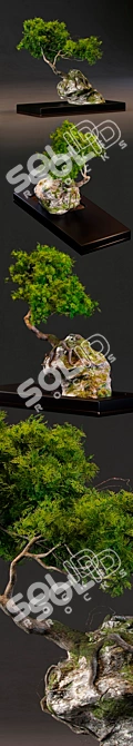 Artistic Bonsai Sculpture 3D model image 2