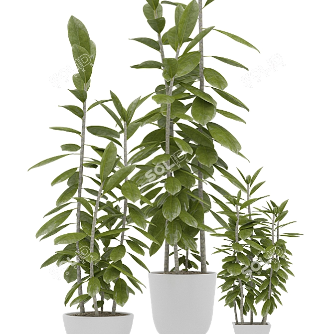 Versatile Trio of Vray-displaced Plants 3D model image 2