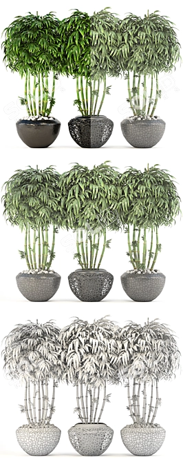 Exquisite Bamboo Trees Collection 3D model image 3