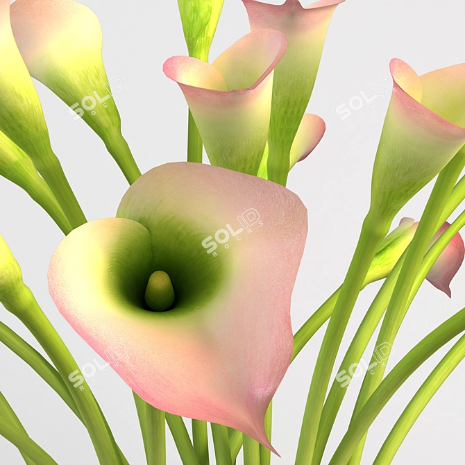 Copper Calla Flower Vase 3D model image 2