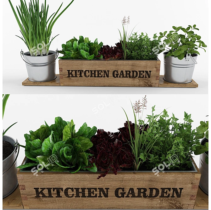 Fresh Greens Grow Kit 3D model image 1