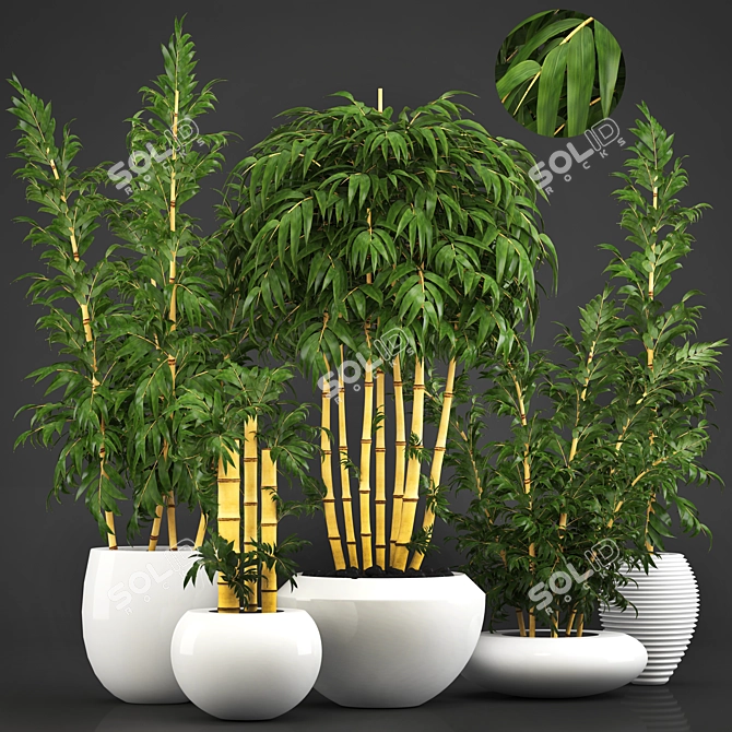 Golden Bamboo Trees: Elegant and Exotic 3D model image 1