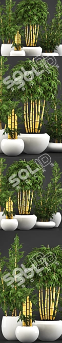 Golden Bamboo Trees: Elegant and Exotic 3D model image 2