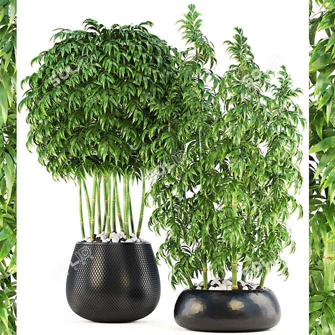 Lush Collection: Bamboo Trees 3D model image 1