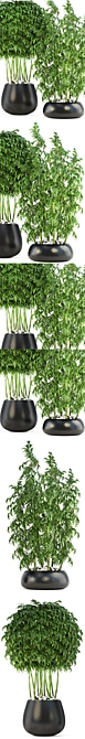 Lush Collection: Bamboo Trees 3D model image 2