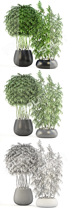 Lush Collection: Bamboo Trees 3D model image 3