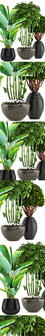 Exotic Bamboo and Topiary Collection 3D model image 2