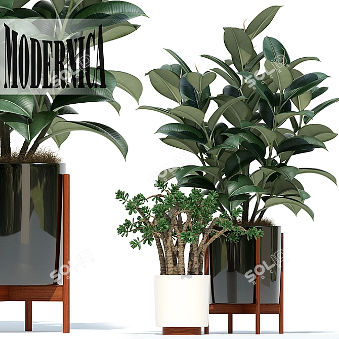 Elevate your space - 72 Modernica plant pots 3D model image 1