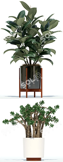 Elevate your space - 72 Modernica plant pots 3D model image 2