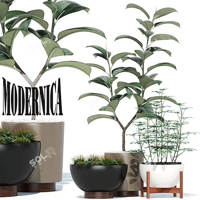 Modernica Pots Collection: 73 Unique Plant Vessels 3D model image 1