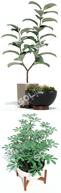 Modernica Pots Collection: 73 Unique Plant Vessels 3D model image 2