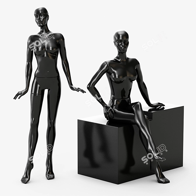 Glossy Female Mannequin: Detachable Torso, Hands, Legs 3D model image 1