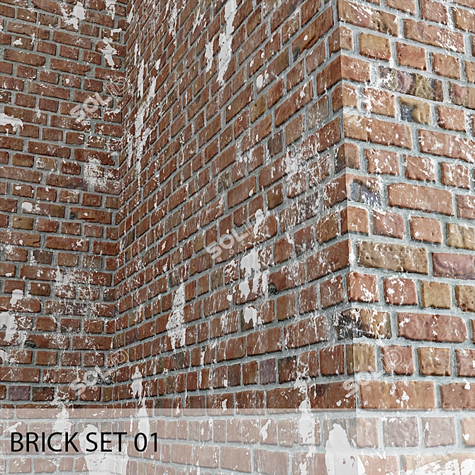 Brick Set 01
Unique Title: Weathered White Brick Set 3D model image 1