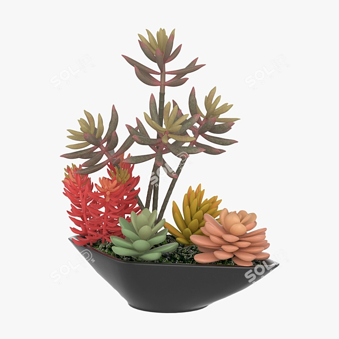 Modern Pot Plant Décor 3D model image 2