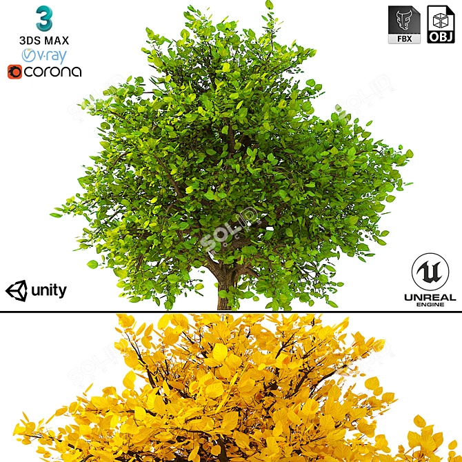 3D Bush No. 2 Model Kit 3D model image 1