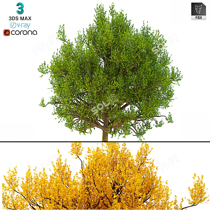 3D Model Bush No. 3: All Seasons 3D model image 1