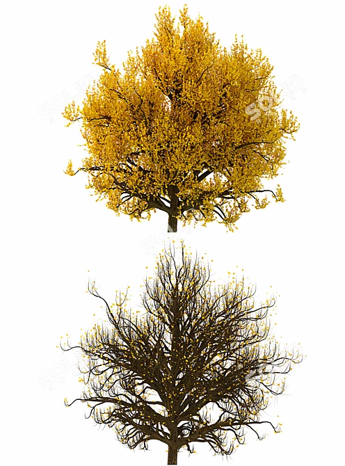 3D Model Bush No. 3: All Seasons 3D model image 3