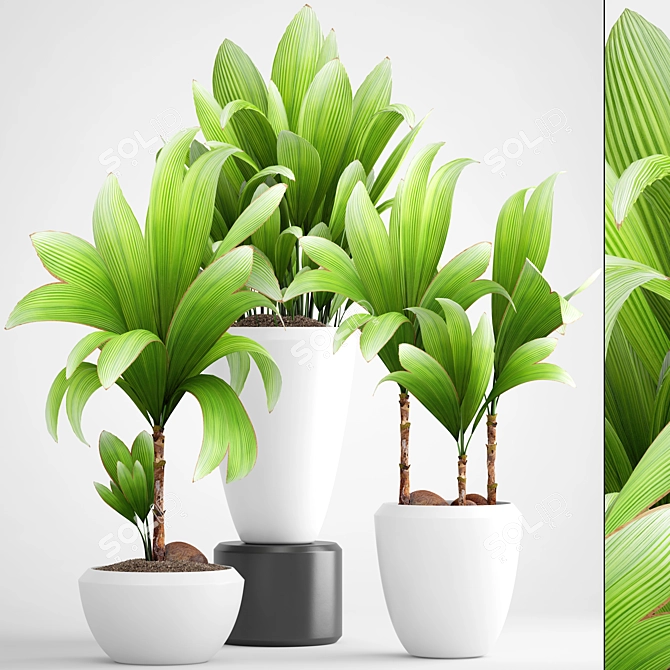 Lush Greenery Collection: Young Coconut Tree & Palm Grass 3D model image 1