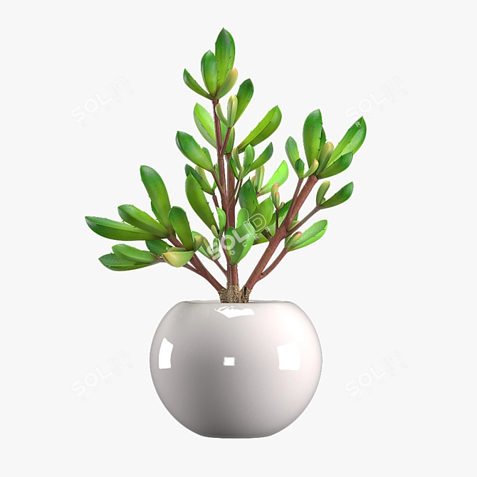 Modern Leafy Pot Plant Décor 3D model image 1