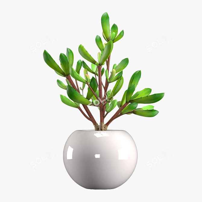 Modern Leafy Pot Plant Décor 3D model image 2