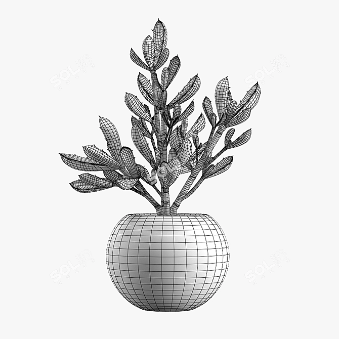 Modern Leafy Pot Plant Décor 3D model image 3