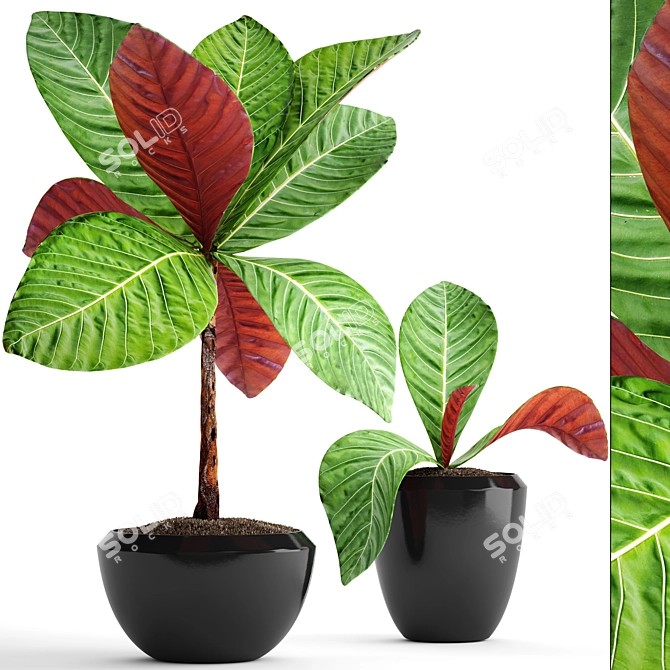 Tropical Plant Collection: Exotic Green Beauty 3D model image 1