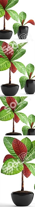 Tropical Plant Collection: Exotic Green Beauty 3D model image 2