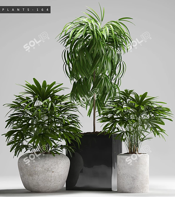 Lush Greenery Collection 3D model image 2