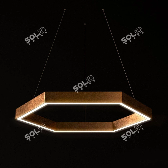 Brass Black Hexagonal Light 3D model image 2