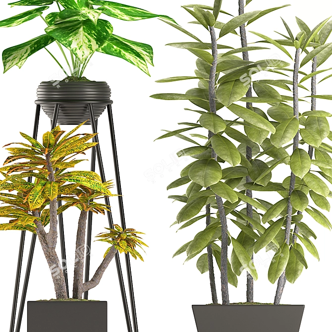 Green Oasis - Indoor Plant Trio 3D model image 2