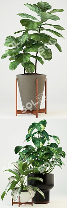 Modernica Pots Collection: 74 Stylish Plant Holders 3D model image 2