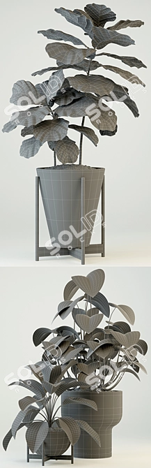 Modernica Pots Collection: 74 Stylish Plant Holders 3D model image 3