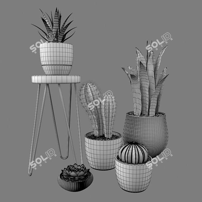 Desert Dreams: Cactus Set 3D model image 3