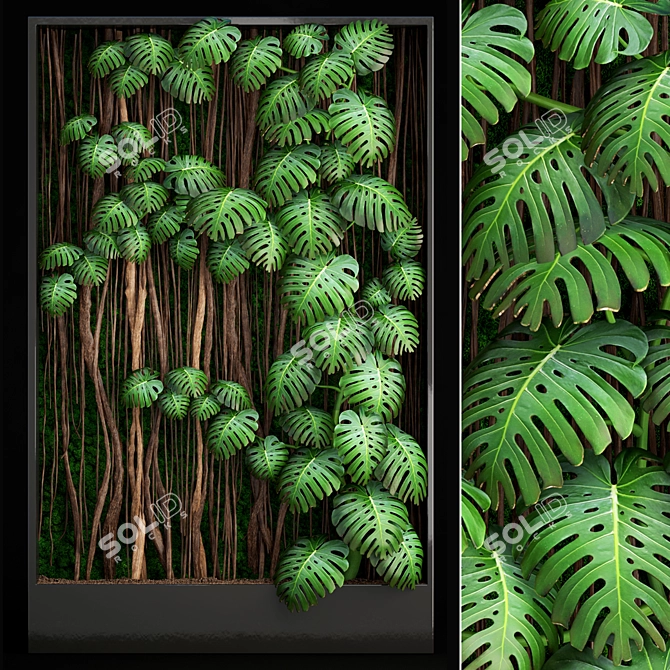 Monstera Fytowall: Vertical Garden Masterpiece 3D model image 1