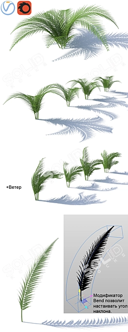  Breezy Fern - Lifelike Wind Effect 3D model image 2