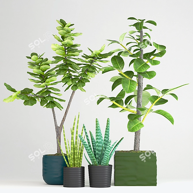 Indoor Plant Collection with Variety of Pots 3D model image 1