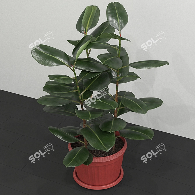 Title: Elegant Ficus Elastica Planter 3D model image 2