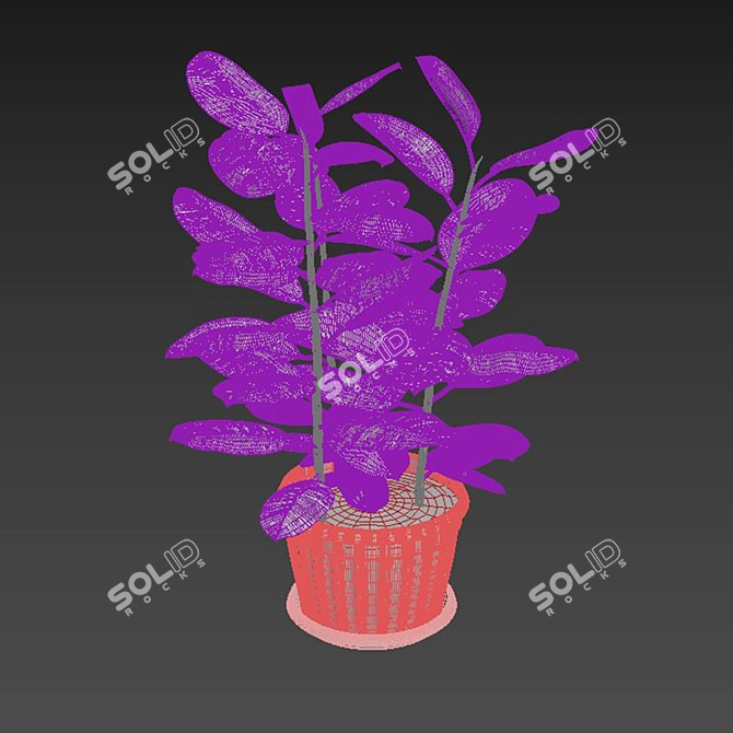 Title: Elegant Ficus Elastica Planter 3D model image 3