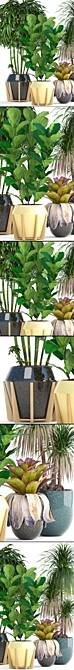 Exotic Plant Collection: Dracaena, Bromelia, Bamboo & Ficus Lyrata 3D model image 2