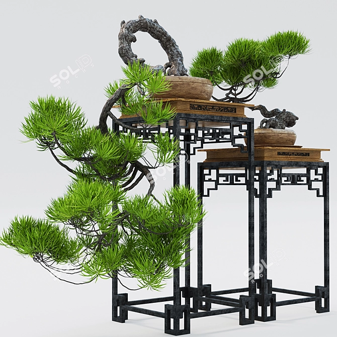 Decorative Bonsai Plant 3D model image 1
